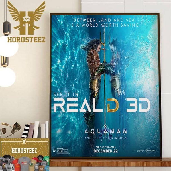 Aquaman And The Lost Kingdom RealD 3D Official Poster Home Decor Poster Canvas