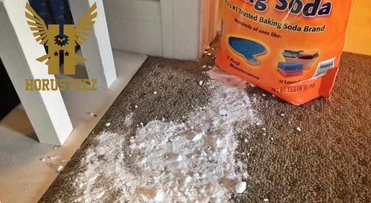 Using Baking Soda to Clean Your Rug